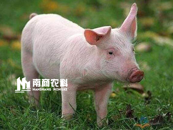 現代規?；i場設計與管理，場長必修課！