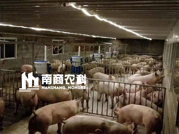 傳統(tǒng)人工養(yǎng)殖即將被取代，智能養(yǎng)殖大勢(shì)所趨，小智倌嶄露頭角
