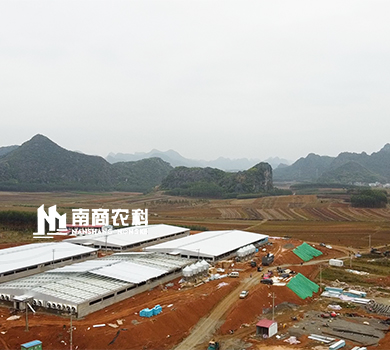 南商農(nóng)科：廣西象州規(guī)模26000頭育肥場