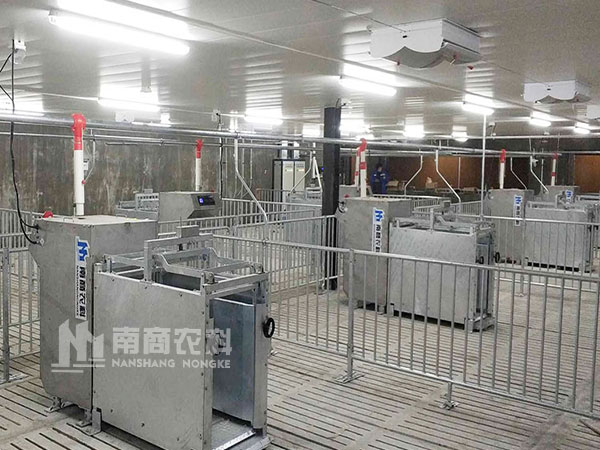 2022年農牧數智生態發展論壇：養豬業如何再乘東風揚帆起航？