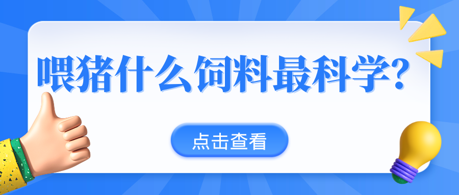 干料飼喂、粥料飼喂、液態(tài)飼喂，不同飼喂模式的效益成本分析