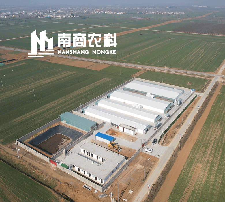  南商農(nóng)科：鄧州市南商農(nóng)科實驗豬場即將投產(chǎn)。