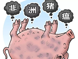 非洲豬瘟能通過(guò)粉塵傳播嗎？